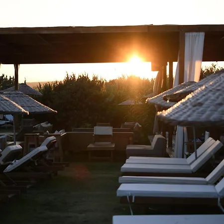 ホテル Zaya & Çeşme