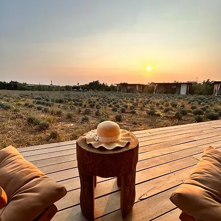 Zaya & Beach Çeşme