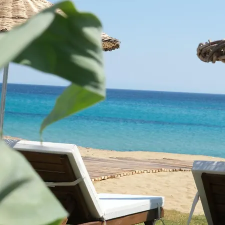 Hotel Zaya &