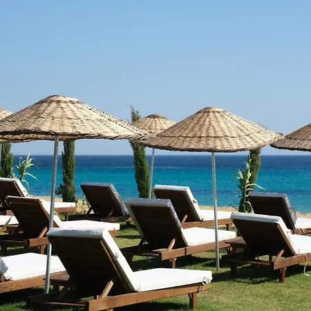 Hotel Zaya &